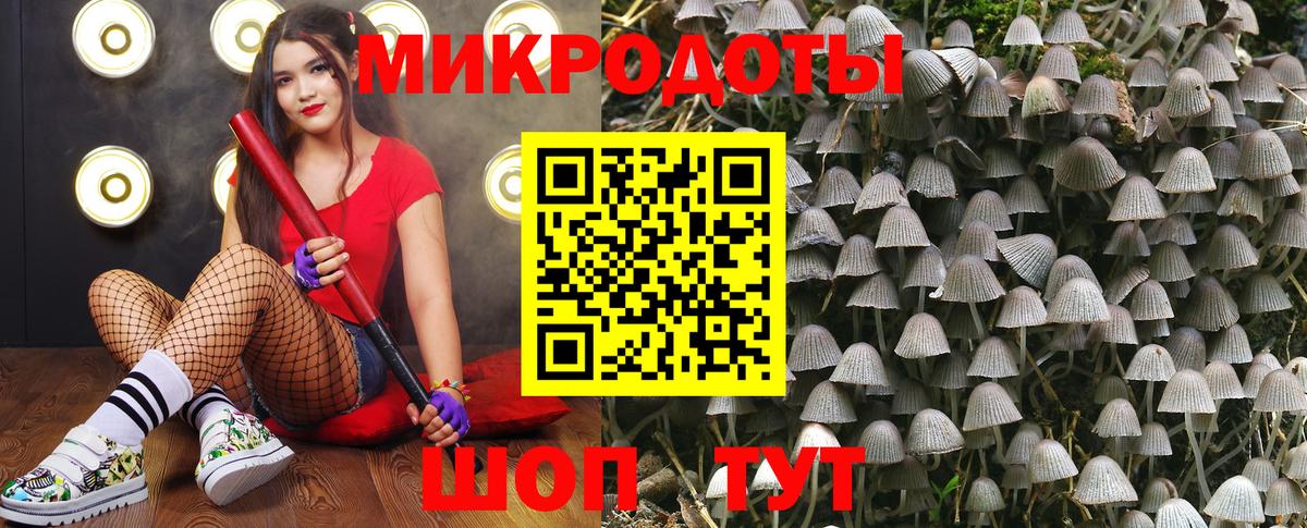 Галлюциногенные грибы мухоморы Похвистнево