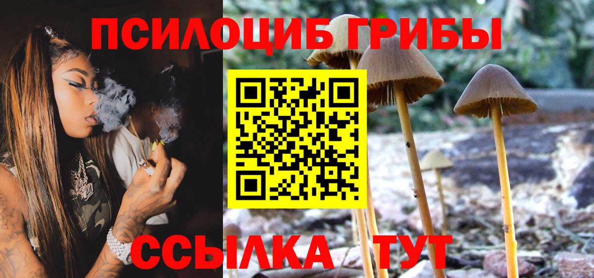 Галлюциногенные грибы Psilocybe  Вход с VPN  Похвистнево 