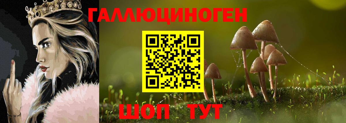 ГАШ Похвистнево